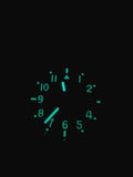 G10 100m Water resistant Military Watch with 12 Hour NATO Pattern Dial in Stainless Steel Case with Screw Crown (Unbranded)